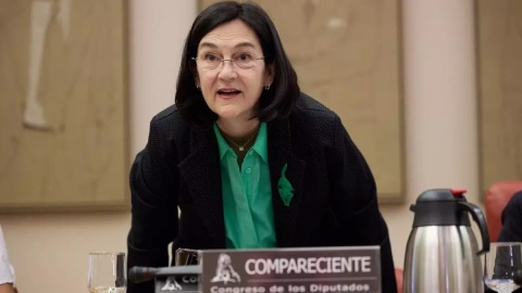 La presidenta de la Comisión Nacional de los Mercados y Competencia (CNMC), Cani Fernández, en una comparecencia en el Congreso de los Diputados. E.P./Jesús Hellín - Europa Press