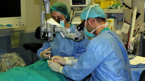 Los trasplantes más frecuentes son los renales, hepáticos, cardíacos y pulmonares. /EFE