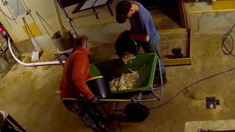 Imágenes de las investigaciones de 'Igualdad Animal'