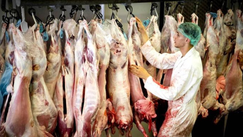 Foto de archivo de un matadero | EFE