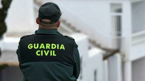 La Guardia Civil ha encontrado al menos una veintena de plantas ilegales. ARCHIVO/EFE