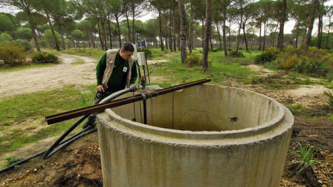 Pozo ilegal en Doñana. WWF