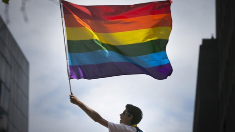 Bandera de la comunidad LGTBI / EUROPA PRESS