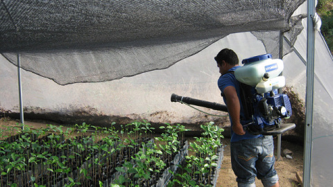 El tiabenzadol se utiliza como fungicida en cultivos de fruta, cítricos y hortalizas