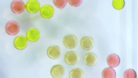 Gotas magnéticas - XUBO LIU ET AL./BERKELEY LAB