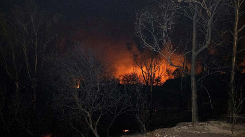Imagen de la llamas producidas por el incendio forestal que afecta al paraje de la localidad sevillana de El Ronquillo. (DAVID ARJONA | EFE)