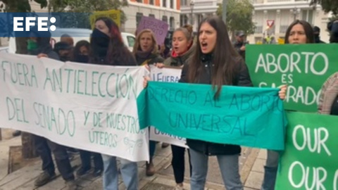 Protesta feminista contra la cumbre antiabortistas que se celebra en el Senado español Protesta feminista contra la cumbre antiabortistas que se celebra en el Senado español