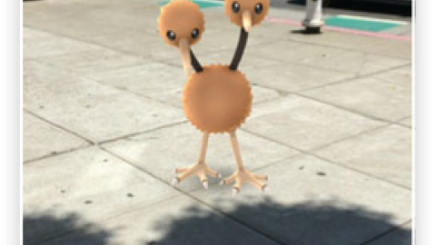 PososAnarquia_PokemonGo0