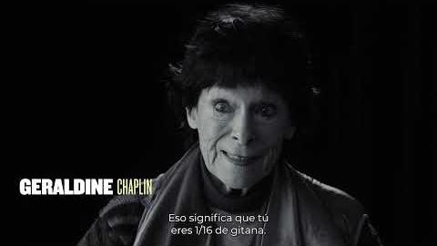 Con entrevistas exclusivas y un acceso sin precedentes al legado de Chaplin, la película es una exploración reveladora de su herencia romaní, construida a partir de entrevistas íntimas, extractos de filmes, películas caseras y contribuciones de renombrados artistas romaníes contemporáneos.