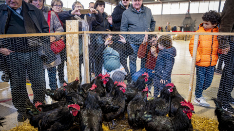 Una imatge d'arxiu de la Fira del Gall de Vilafranca del Penedès Una imatge d'arxiu de la Fira del Gall de Vilafranca del Penedès