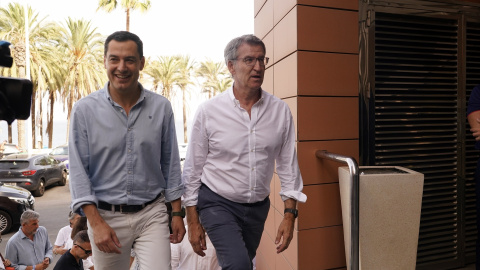 Alberto Núñez Feijóo (Foto de ARCHIVO)El presidente del PP, Alberto Núñez Feijóo, junto al presidente de la Junta de Andalucía, Juanma Moreno, este verano en Málaga.Álex Zea / Europa Press19/7/2024