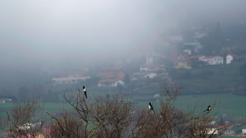 a45aa62a7eda6d71e7c9914dd741dd2100658f3b Los cielos nubosos con bancos de niebla en Asturias, a 26 de diciembre de 2024.
