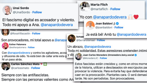 reacciones-ana Reacciones de apoyo a Ana Pardo de Vera y contra el "fascismo digital".