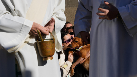 El párroco de la Iglesia de San Andreu Palomar bendice a los animales durante la tradicional cabalgata de los Tres Tombs este domingo en Barcelona. BARCELONA, 12/01/2025.- El párroco de la Iglesia de San Andreu Palomar bendice a los animales durante la tradicional cabalgata de los Tres Tombs este domingo en Barcelona. Los actos por el bicentenario de esta tradición se alargarán durante todo 2025. Los Tres Tombs se celebran con motivo de la festividad en honor a San Antonio Abad, patrón de los animales domésticos. EFE/ Alejandro Garcia