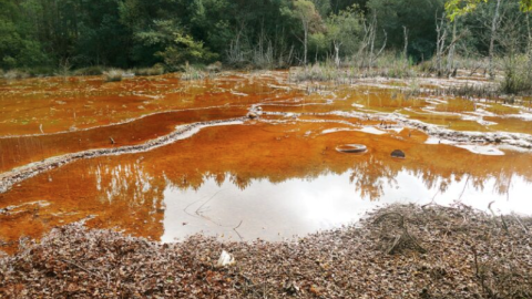 Mina de Touro Sedimentos tóxicos de la mina de Touro en una parcela próxima a la explotación.
