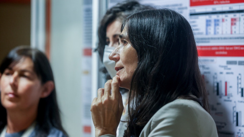María Blasco María Blasco, directora del CNIO, en una foto de archivo.