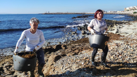 Tarifa Alumnas de Educación Permanente de Tarifa recogen algas invasoras.