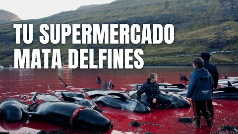 Grindadrap: el exterminio que podrias estar financiando. Fundación ARDE / Fundación Capitán Paul Watson.