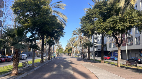 La rambla de La Mina a 30 de gener de 2025, pràcticament deserta. La rambla de La Mina a 30 de gener de 2025, pràcticament deserta.