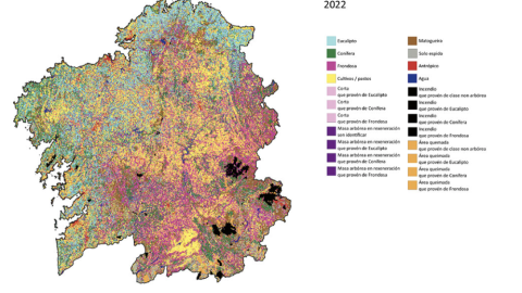 Foto Mapa de resultados del Inventario Forestal Continuo de Galicia de 2023. Este proyecto cuenta con especialistas de las tres universidades gallegas, liderazgos por el profesor de la Escuela de Ingeniería Forestal del Campus de Pontevedra de la Universidad de Vigo Juan Picos.