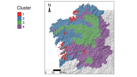 Clasificación en agrupamientos de la superficie de Galicia en función de los usos y cubierta vegetal, según los datos del período 2005-2017. Del artículo 'Farmland Abandonment and Afforestation: Socioeconomic and Biophysical Patterns of Land Use Change at the Municipal Level in Galicia, Northwest Spain', publicado por Eduardo Corbelle Rico y Edelmiro López Iglesias en 2024 en la revista 'Land'.