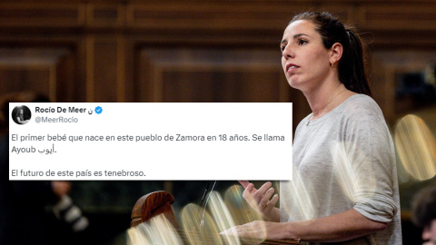 Rocío De Meer La diputada de Vox Rocío De Meer junto a su tuit.