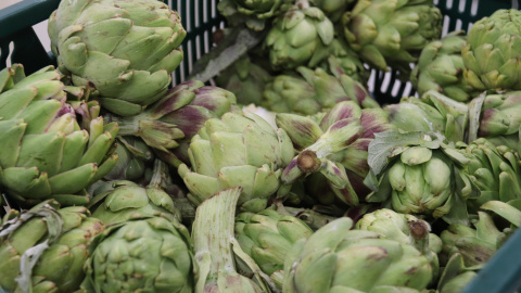 Caixa de carxofes salvades del malbaratament a través de la fundació Espigoladors Caixa de carxofes salvades del malbaratament a través de la fundació Espigoladors