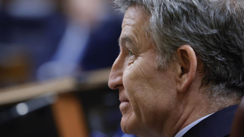 Alberto Núñez Feijóo El líder del PP, Alberto Núñez Feijóo, durante la sesión de control al Ejecutivo este miércoles en el Congreso.