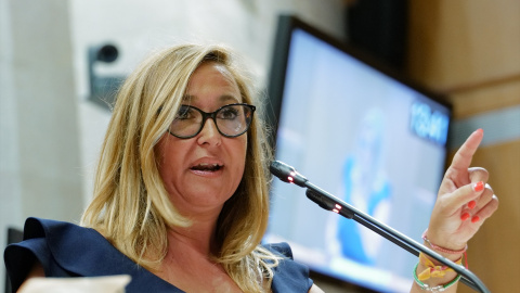 EuropaPress_5375092_portavoz_grupo_parlamentario_psoe_cortes_aragon_mayte_perez_pleno_cortes La portavoz del grupo parlamentario del PSOE de las Cortes de Aragón, Mayte Pérez, en una imagen de archivo.