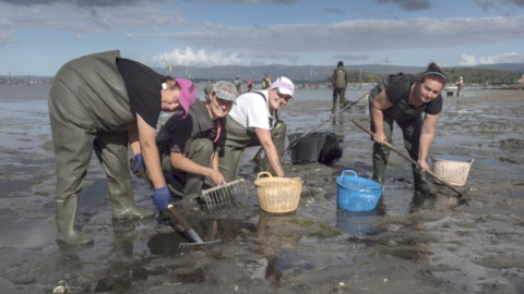Mariscadoras de la ría de Arousa, en uma imagen de archivo. Mariscadoras de la ría de Arousa, en uma imagen de archivo.