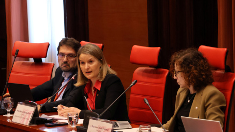 La consellera de Drets Socials, Mònica Martínez Bravo, a la comissió de Drets Socials del Parlament La consellera de Drets Socials, Mònica Martínez Bravo, a la comissió de Drets Socials del Parlament