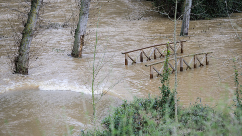EuropaPress_6564343_rio_henares_inunda_zona_parque_fluvial_paso_guadalajara_marzo_2025 El río Henares inunda una zona del parque fluvial a su paso por Guadalajara, a 7 de marzo de 2025, en Guadalajara, Castilla-La Mancha.