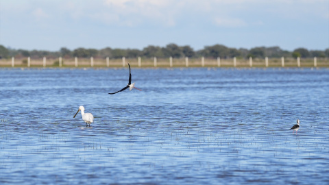 EuropaPress_6495939_consejera_sostenibilidad_medio_ambiente_junta_andalucia_catalina_garcia Doñana, a inicios de febrero.