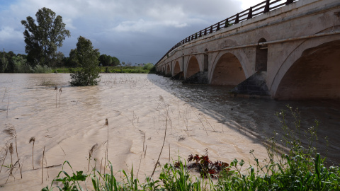 Imagen de archivo del río Guadalete a su paso por Jerez de la Frontera, el pasado 10 de marzo de 2025. Imagen de archivo del río Guadalete a su paso por Jerez de la Frontera, el pasado 10 de marzo de 2025.