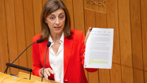 La conselleira de Medio Ambiente de la Xunta, Ángeles Vázquez, en el Parlamento de Galicia, en una imagen de archivo. La conselleira de Medio Ambiente de la Xunta, Ángeles Vázquez, en el Parlamento de Galicia, en una imagen de archivo.