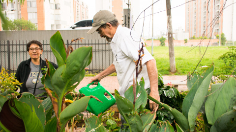 DSC_0004 Alfredo y Gladys trabajando en la Huerta Monterrey