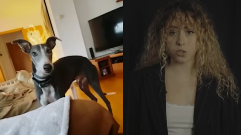 El perro Marlos en el domicilio de la familia de la 'influencer' Miare y la misma Miare. El perro Marlos en el domicilio de la familia de la 'influencer' Miare y la misma Miare.