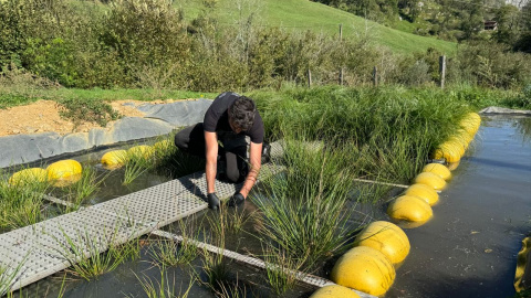 Trabajos de mantenimiento de fitodepuradora montada con phytobateas Trabajos de mantenimiento de fitodepuradora montada con phytobateas