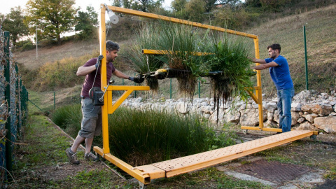 Humedal flotante de plantas autóctonas instaladas en phytobateas Humedal flotante de plantas autóctonas instaladas en phytobateas