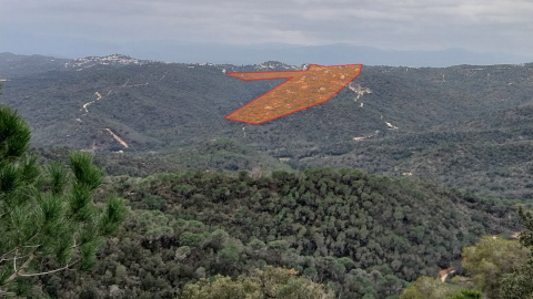 Projecte urbanístic Can Sota Lloret de Mar - 26/03/2025 Zona de les muntanyes de Can Sota, a Lloret de Mar, on es vol fer una urbanització.