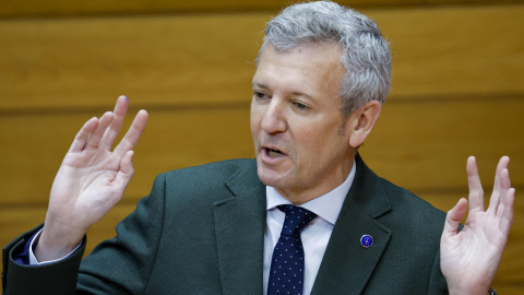 El presidente de la Xunta, Alfonso Rueda, en el Parlamento de Galicia la semana pasada tras ser preguntado por la oposición por el proyecto de Altri.