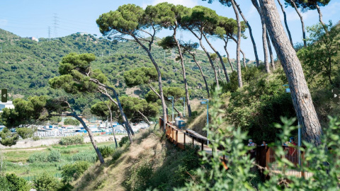 Adaptaciò climàtica