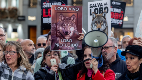 Decenas de personas durante la concentración ‘Salvar al lobo ibérico’, en la Plaza de Callao, a 5 de abril de 2025, en Madrid (España). Decenas de personas durante la concentración ‘Salvar al lobo ibérico’, en la Plaza de Callao, a 5 de abril de 2025, en Madrid (España).