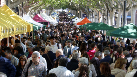 L'avinguda de Francesc Macià de Lleida, plena de gent per Sant Jordi L'avinguda de Francesc Macià de Lleida, plena de gent per Sant Jordi