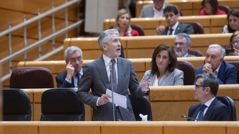 El ministro del Interior, Fernando Grande-Marlaska, interviene durante una sesión de control en el Senado, a 8 de abril de 2025, en Madrid