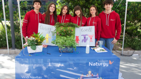 Certamen Efigy Certamen Efigy