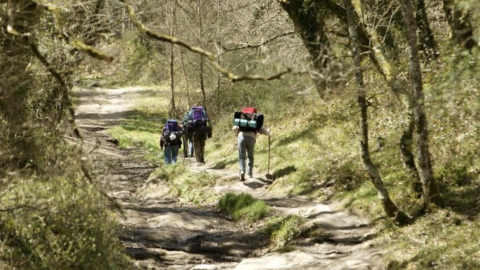 Peregrinos en el Camiño Francés de Santiago a su paso por Palas de Rei (Lugo).