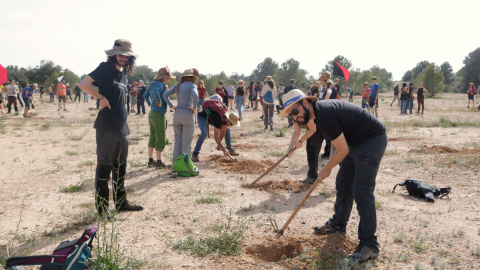montroig 2 L'acció reivindicativa ha consistit en la plantació de planters de secà als terrenys on es projecta l'empresa Lotte a Mont-roig del Camp.