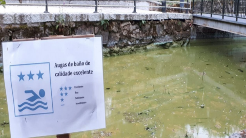 Imagen de archivo del embalse de As Conchas, en la comarca ourensana de A Limia, contaminado por los vertidos de las macrogranjas. Imagen de archivo del embalse de As Conchas, en la comarca ourensana de A Limia, contaminado por los vertidos de las macrogranjas.