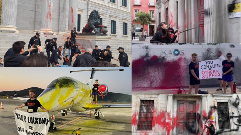 Diferentes acciones con pintura lavable realizadas por Futuro Vegetal entre 2022 y 2023.